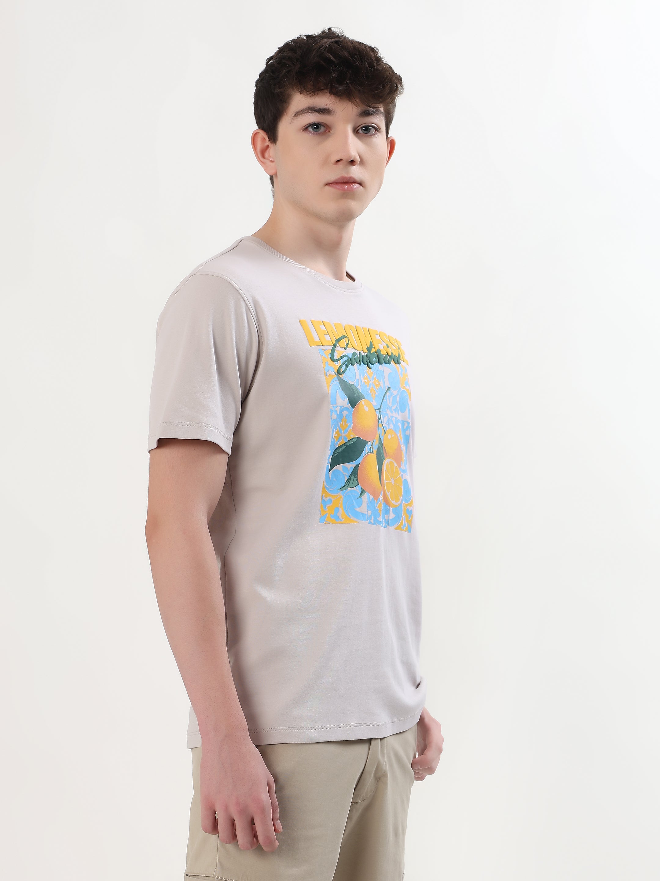 SAND BEIGE LEMON GRAPHIC PREMIUM T-SHIRT